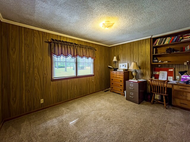 128 Airport Rd, Sylvester, GA 31791 - carpeted office space with ornamental molding, a textured ceiling, and wood walls