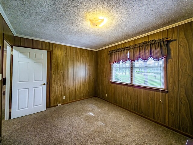 128 Airport Rd, Sylvester, GA 31791 - unfurnished room with ornamental molding, a textured ceiling, carpet floors, wood walls, and baseboards