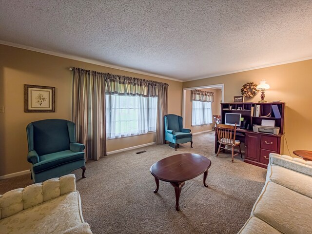 128 Airport Rd, Sylvester, GA 31791 - carpeted living room with ornamental molding, a textured ceiling, baseboards, and an office area