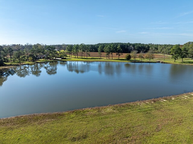 56 Willow Creek Dr, Tifton, GA 31793 - view of water feature