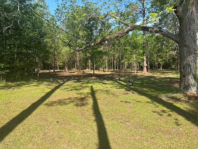 1300 S Hutchinson Ave, Adel, GA 31620 - photo 9
