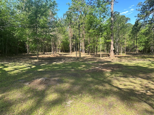 1300 S Hutchinson Ave, Adel, GA 31620 - photo 8