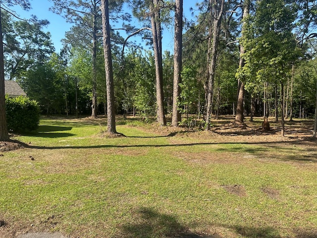1300 S Hutchinson Ave, Adel, GA 31620 - photo 3