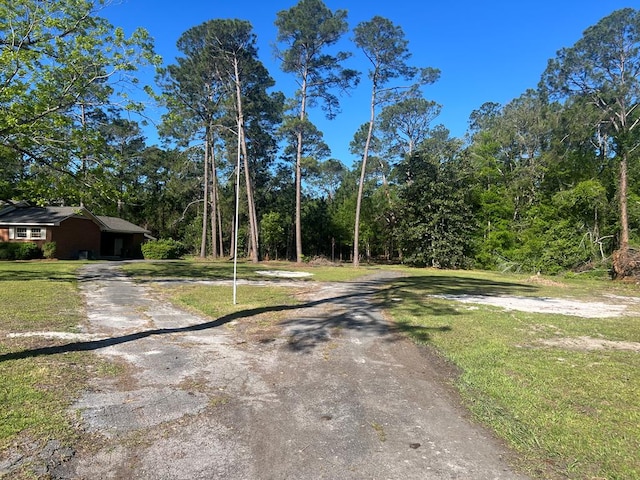 1300 S Hutchinson Ave, Adel, GA 31620 - photo 36