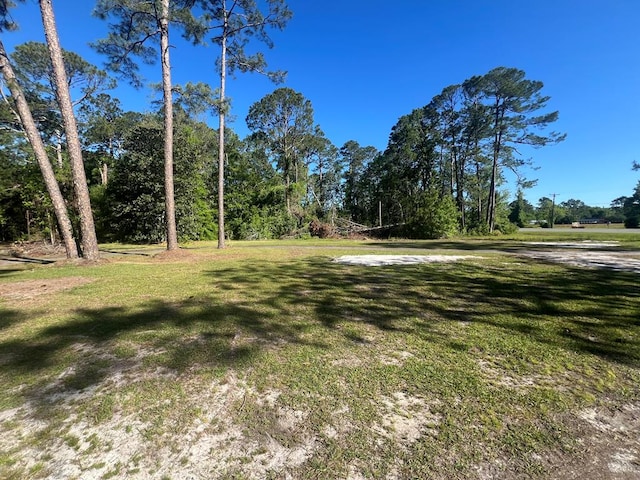 1300 S Hutchinson Ave, Adel, GA 31620 - photo 51