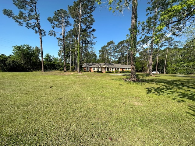 1300 S Hutchinson Ave, Adel, GA 31620 - photo 11
