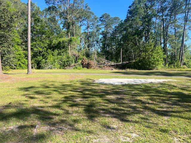 1300 S Hutchinson Ave, Adel, GA 31620 - photo 50
