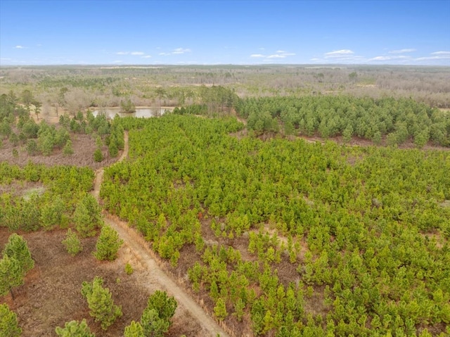 0 Blue Springs Rd, Sylvester, GA 31791 - photo 8