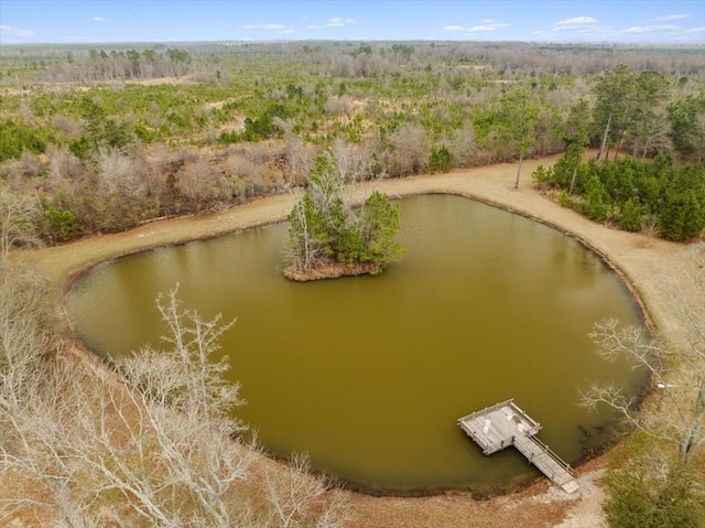 0 Blue Springs Rd, Sylvester, GA 31791 - photo 1