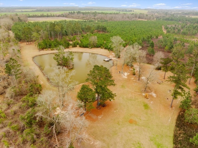 0 Blue Springs Rd, Sylvester, GA 31791 - photo 3