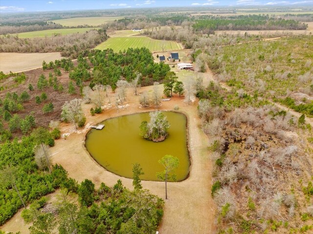 0 Blue Springs Rd, Sylvester, GA 31791 - photo 2