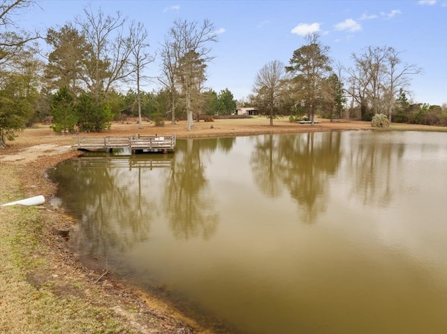 0 Blue Springs Rd, Sylvester, GA 31791 - photo 5