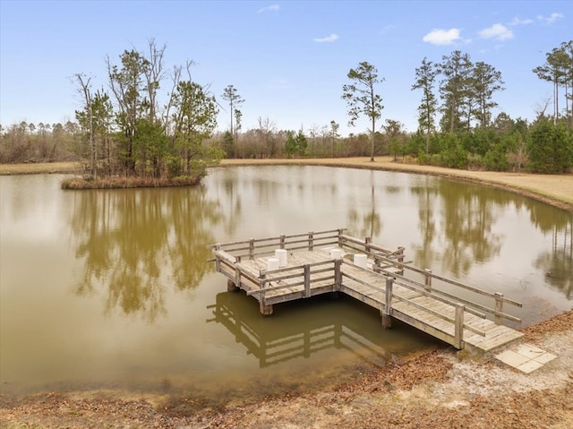 0 Blue Springs Rd, Sylvester, GA 31791 - photo 4