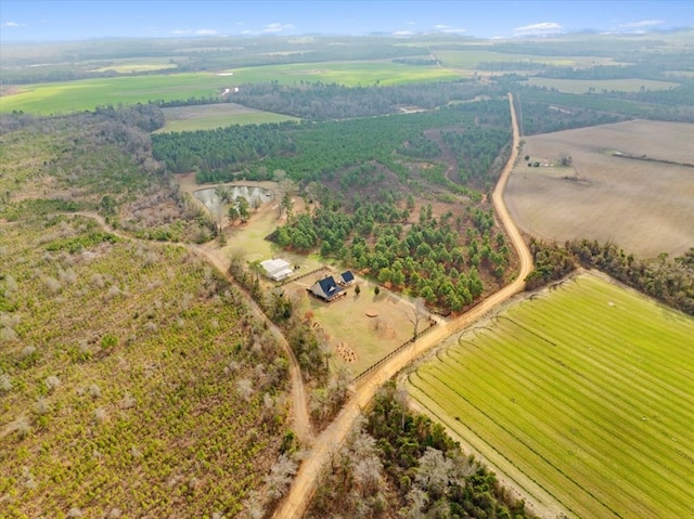0 Blue Springs Rd, Sylvester, GA 31791 - photo 11