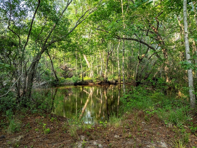 248 Gun Lake Loop, Tifton, GA 31794 - view of wooded area