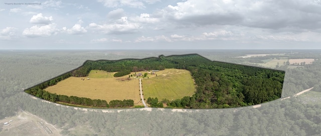 248 Gun Lake Loop, Tifton, GA 31794 - aerial view of sparsely populated area featuring a forest