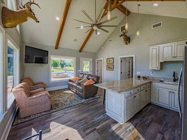 248 Gun Lake Loop, Tifton, GA 31794 - kitchen with open floor plan, high vaulted ceiling, ceiling fan, a peninsula, and dark wood-style floors