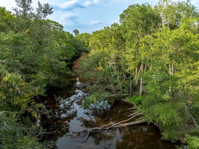 248 Gun Lake Loop, Tifton, GA 31794 - view of wooded area
