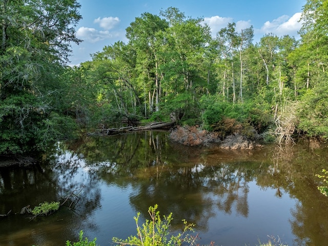 248 Gun Lake Loop, Tifton, GA 31794 - water view with a forest