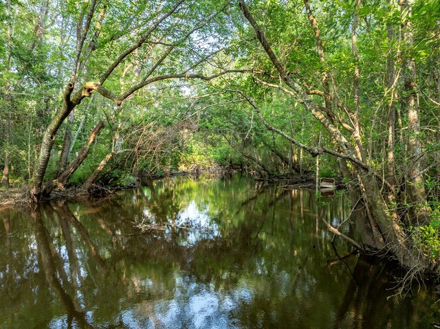 248 Gun Lake Loop, Tifton, GA 31794 - water view with a heavily wooded area