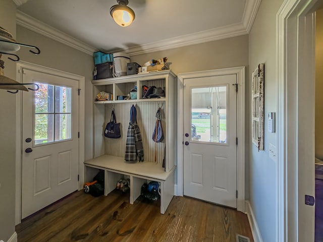 248 Gun Lake Loop, Tifton, GA 31794 - mudroom featuring ornamental molding and wood finished floors