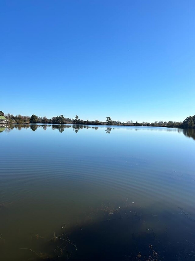 223 Walker Rd, Fitzgerald, GA 31750 - photo 6