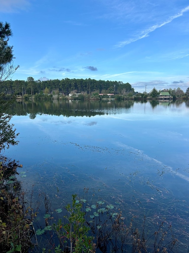 223 Walker Rd, Fitzgerald, GA 31750 - photo 3