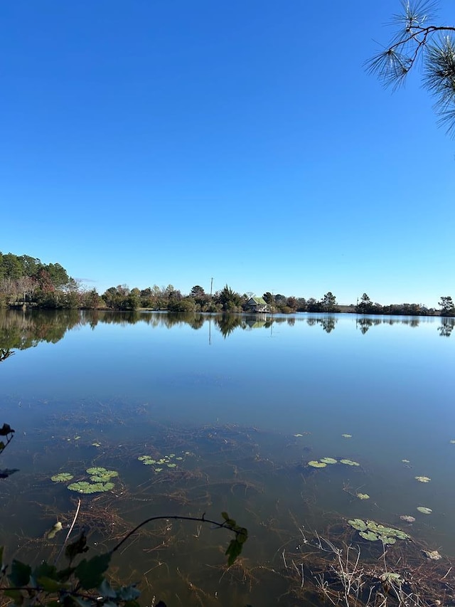 223 Walker Rd, Fitzgerald, GA 31750 - photo 8