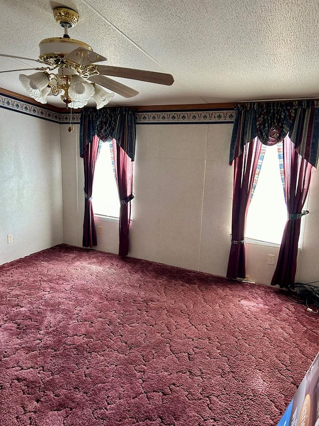 223 Walker Rd, Fitzgerald, GA 31750 - photo 39