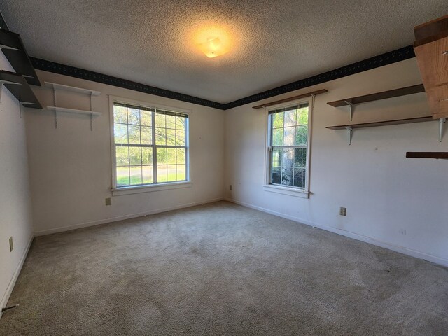 115 Easy St, Fitzgerald, GA 31750 - spare room featuring a wealth of natural light, carpet, and a textured ceiling