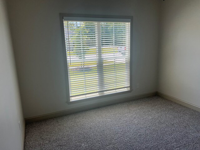 40 Sloans Village Way SE, Moultrie, GA 31768 - photo 56