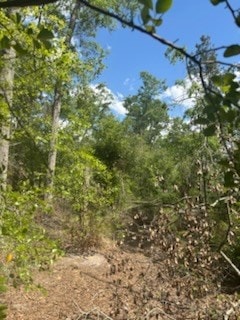 0 New Bethel Church Rd, Fitzgerald, GA 31750 - photo 6