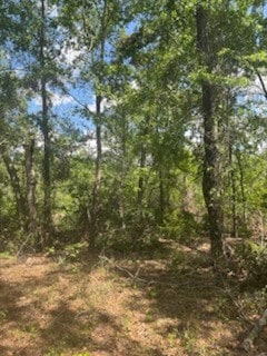 0 New Bethel Church Rd, Fitzgerald, GA 31750 - photo 2