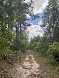 0 New Bethel Church Rd, Fitzgerald, GA 31750 - photo 5