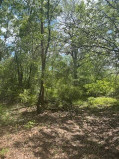 0 New Bethel Church Rd, Fitzgerald, GA 31750 - photo 7