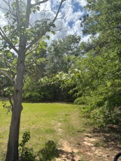 0 New Bethel Church Rd, Fitzgerald, GA 31750 - photo 8