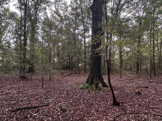 5.9AC Cherry St, Ty Ty, GA 31795 - photo 2