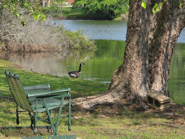 view of community featuring a water view