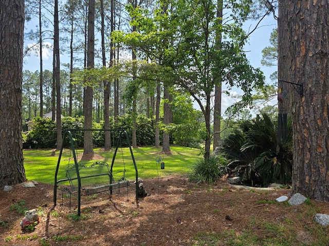 view of green lawn