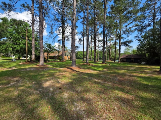 view of grassy yard
