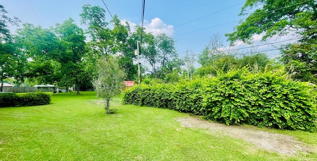 111 Van Deman Ct, Fitzgerald, GA 31750 - view of green lawn