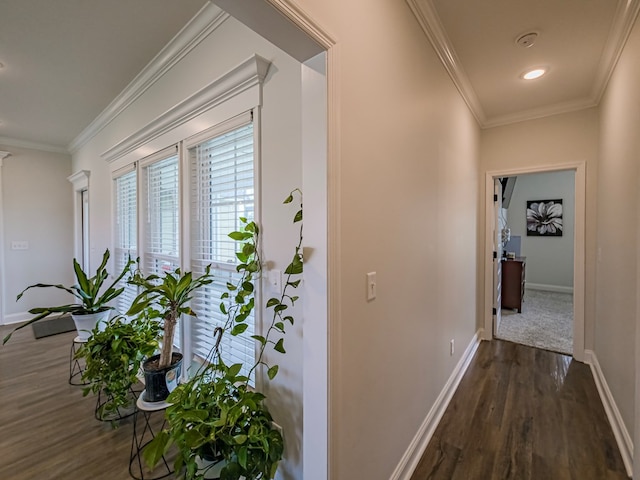 8 Stone Haven Dr, Tifton, GA 31793 - photo 37