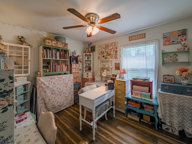 127 Carol Cir, Fitzgerald, GA 31750 - office space with wood finished floors and ceiling fan