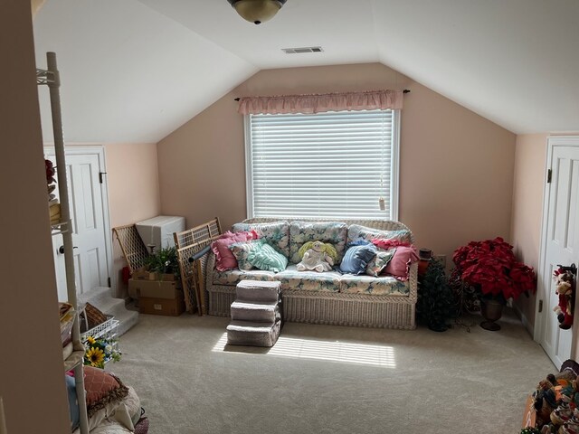 additional living space with visible vents, carpet, and vaulted ceiling