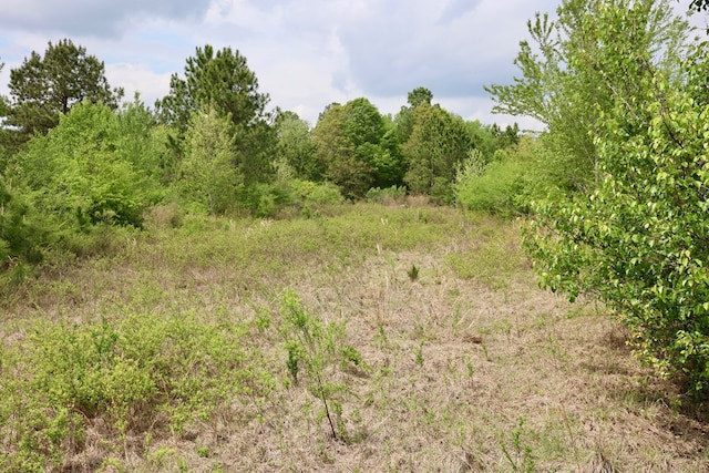 00 Randall Whiddon Dr, Ashburn, GA 31714 - photo 2