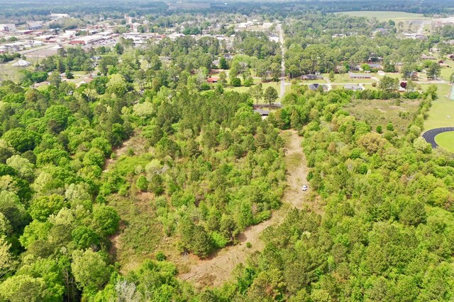 00 Randall Whiddon Dr, Ashburn, GA 31714 - photo 11