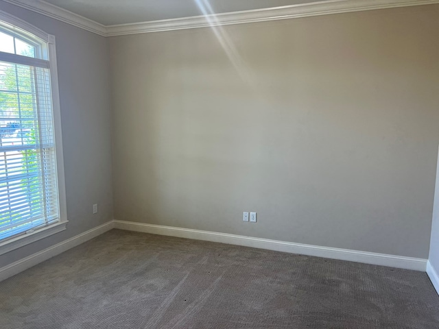 134 Golden Way, Tifton, GA 31794 - photo 45