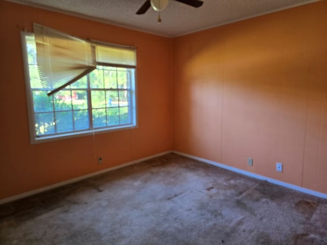 125 Jeff Ave, Ashburn, GA 31714 - photo 5