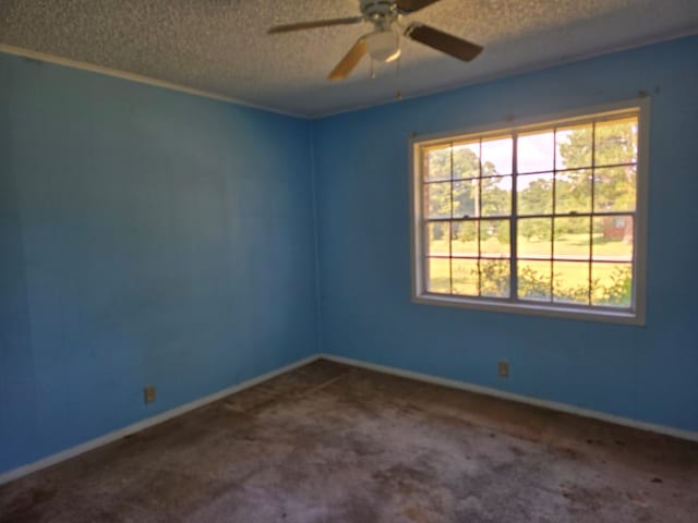 125 Jeff Ave, Ashburn, GA 31714 - photo 4