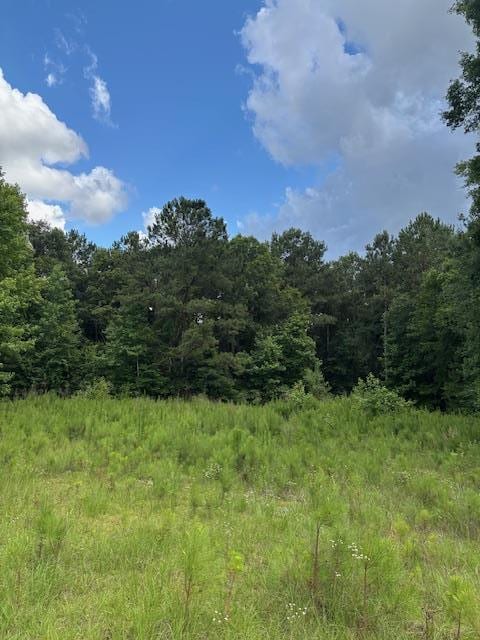 205 Worthwood Rd, Albany, GA 31705 - photo 1